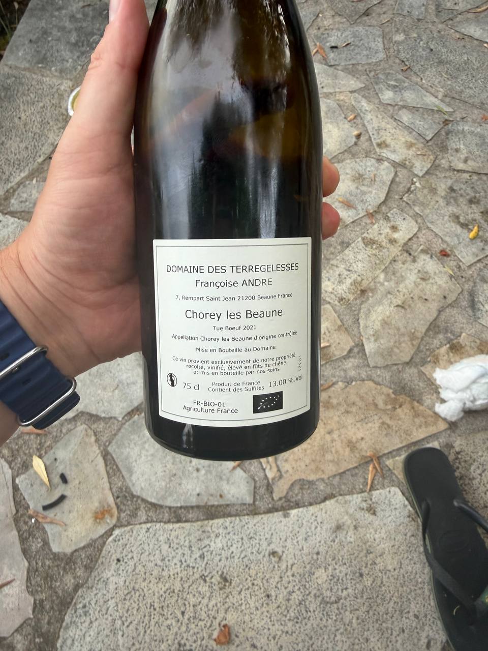 Bagsiden af Domaine Françoise André Chorey-lès-Beaune Tue-Boeuf