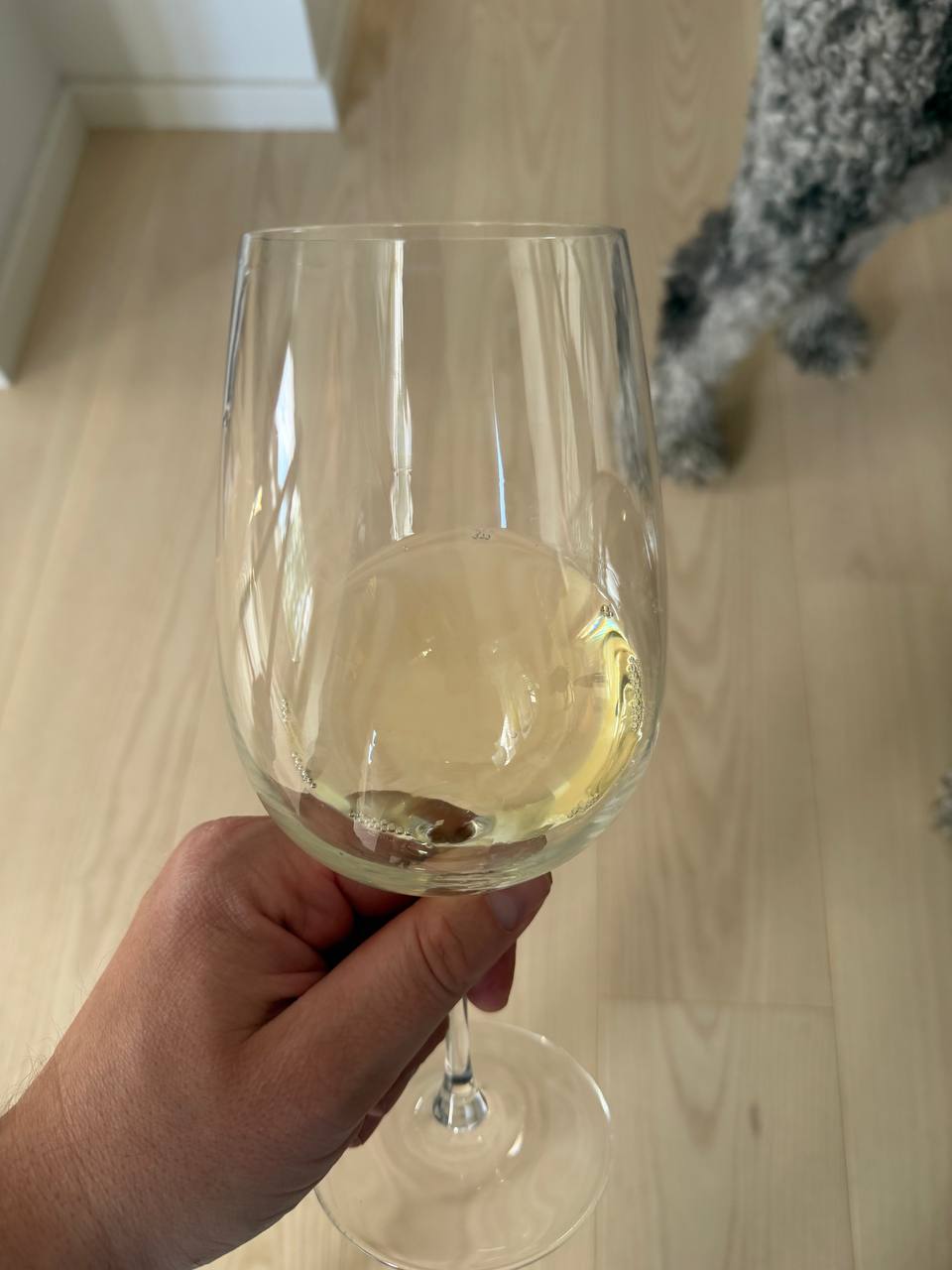 Glas Riesling i sommerlys